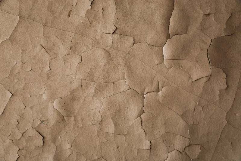 Gloriously Incomplete: What Leonardo's Abandoned Works Reveal About the Creative Process
