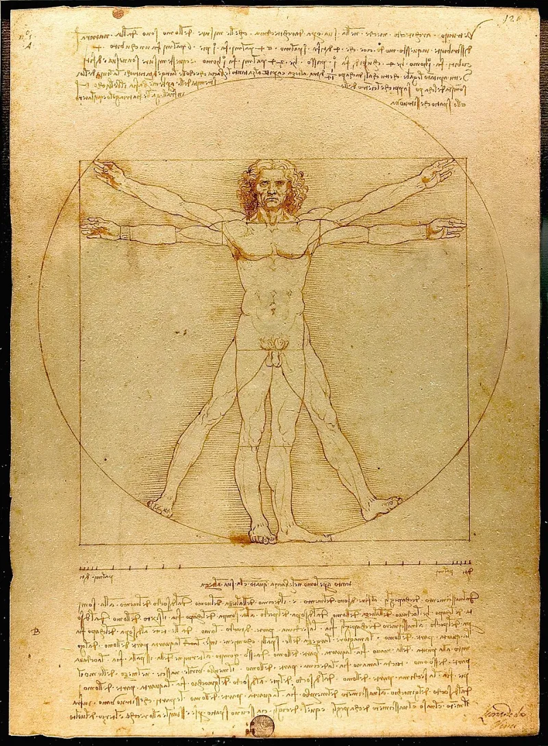 Sacred Dissection: What Leonardo's Reverence for the Human Body Teaches Us About the Soul of Discovery